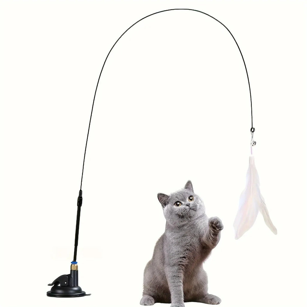Cat playing with a fishing rod toy on a white background