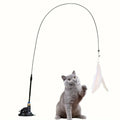 Cat playing with a fishing rod toy on a white background