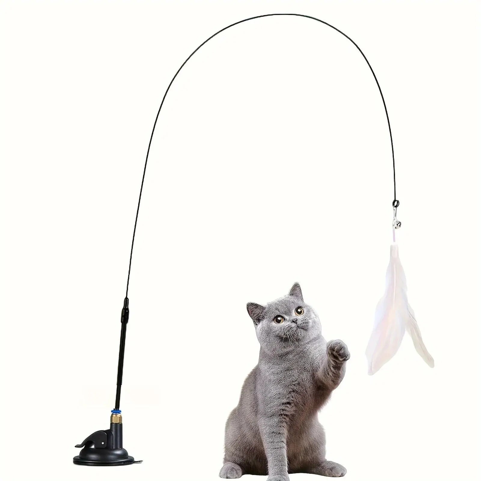 Cat playing with a fishing rod toy on a white background