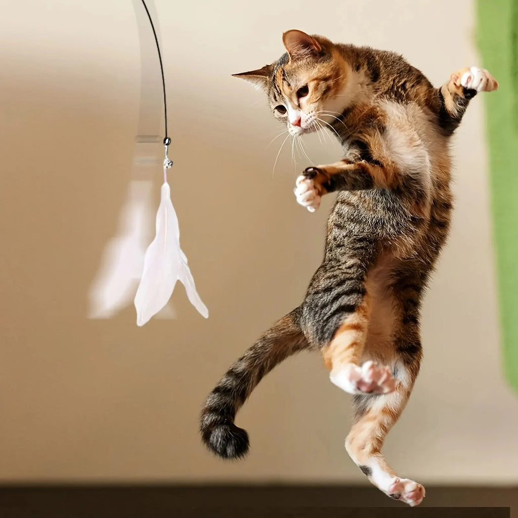 Interactive Cat Feather Wand Toy with Bell & Suction Cup