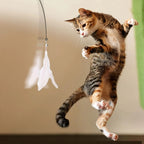 Interactive Cat Feather Wand Toy with Bell & Suction Cup