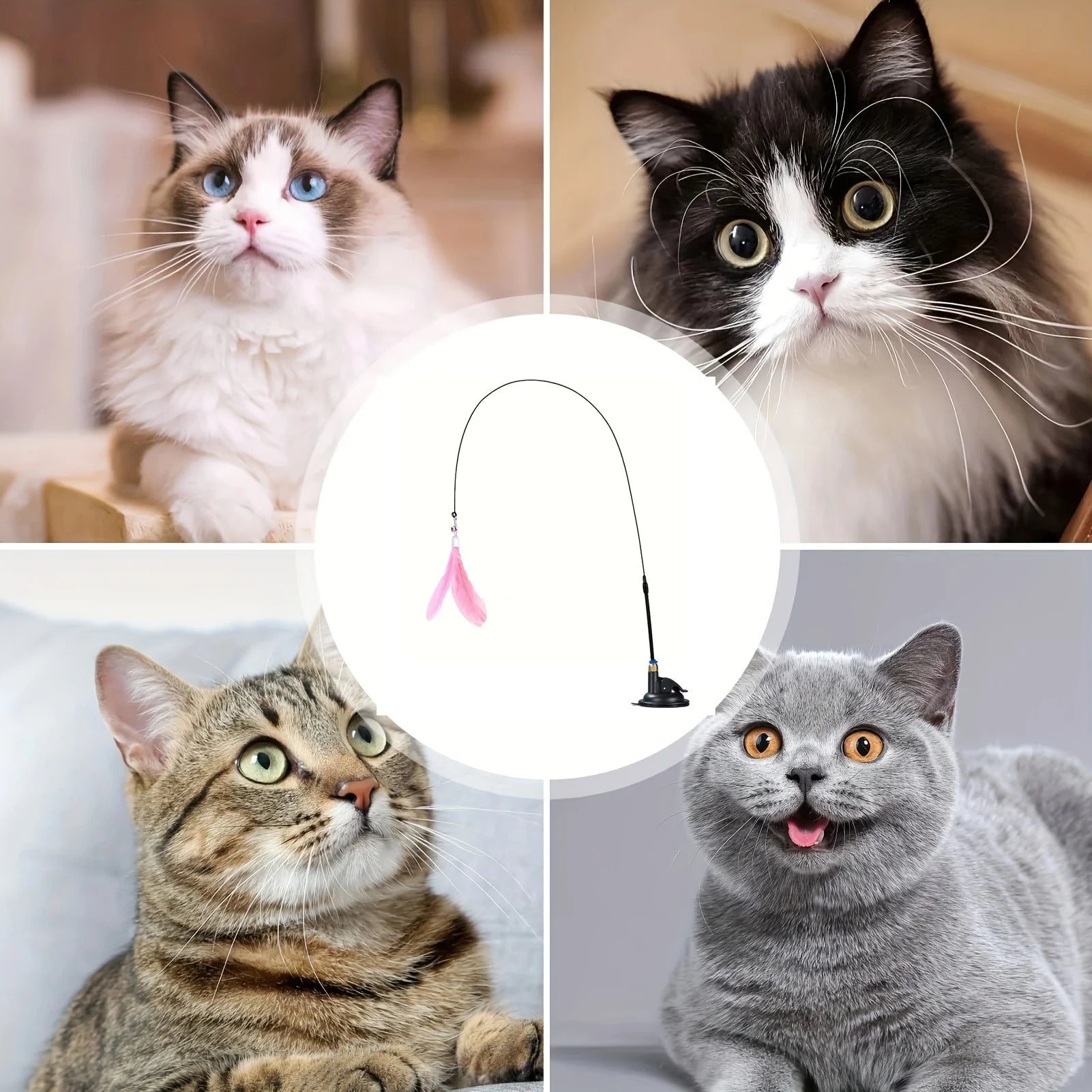 Interactive Cat Feather Wand Toy with Bell & Suction Cup